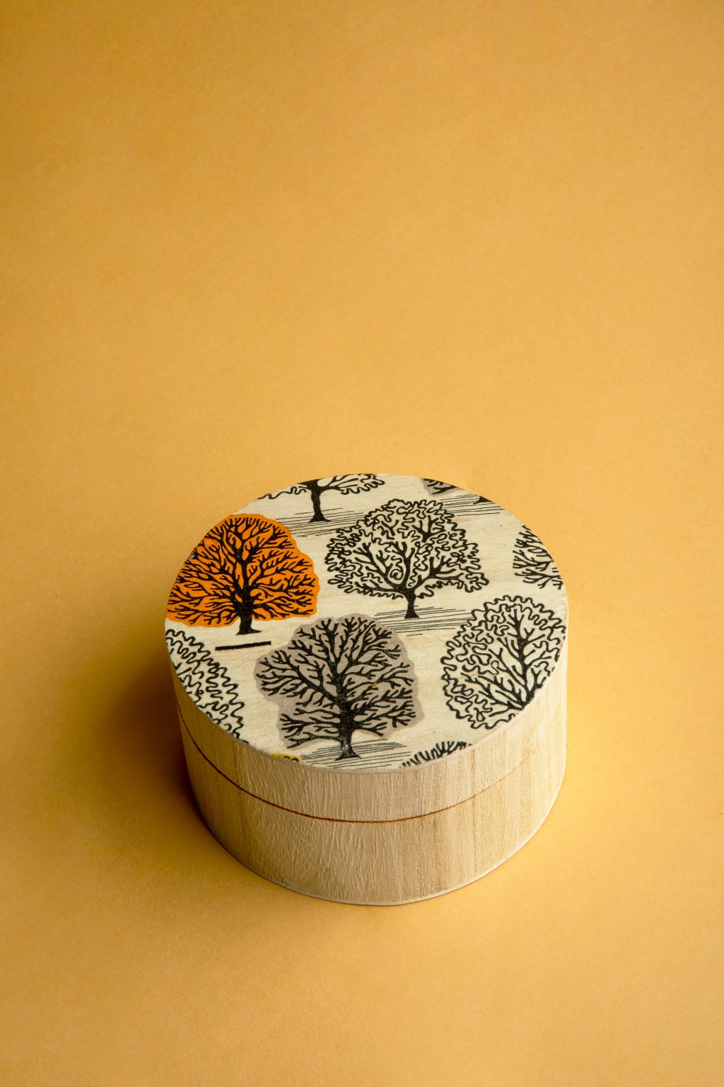 Caja de madera pintada